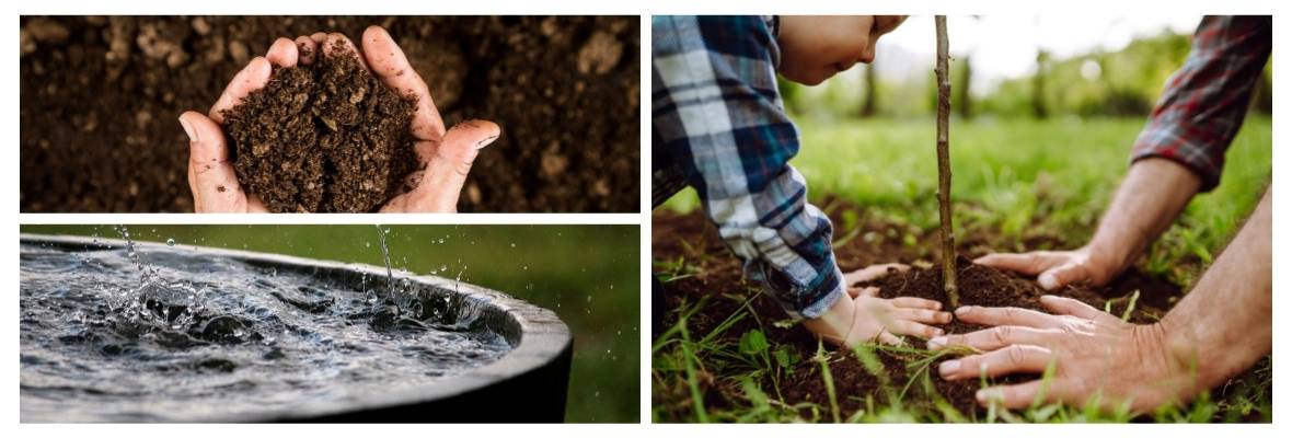 Why Compost