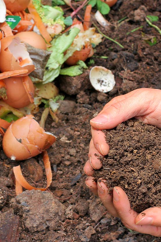 Keys-to-a-Good-Compost